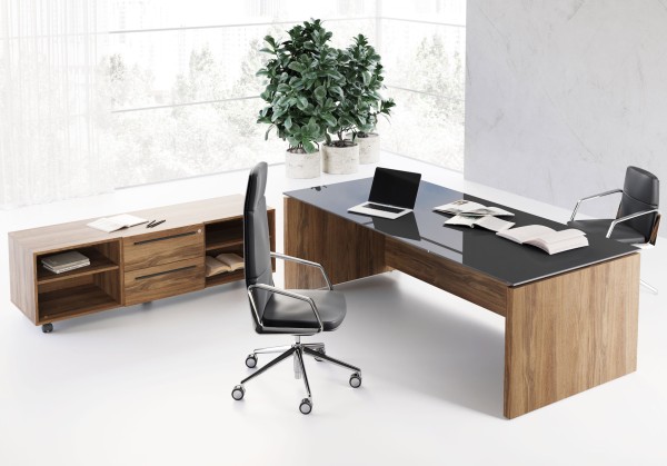 Design Schreibtisch mit Glasplatte Lewo 2